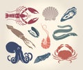 Vintage illustration of crustaceans, seashells and cephalopods