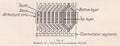 Vintage illustration diagram of a Armature.