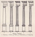 Vintage illustration diagram of Columns - Roman Orders.