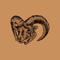 vintage illustration goat head