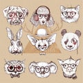 Vintage illustration of hipster animal set with glasses in vector. Royalty Free Stock Photo