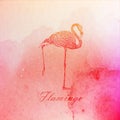 Vintage illustration of a pink watercolor flamingo on the old paper texture Royalty Free Stock Photo