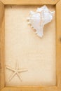 Vintage image of conch shell and starfish Royalty Free Stock Photo
