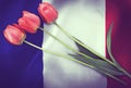 Iimage of the flag of France with three red tulipsmage of the flag of France with three red tulips