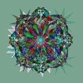 STARS MANDALA. VINTAGE IMAGE. PLAIN GREEN BACKGROUND. CENTRAL KALEIDOSCOPE IMAGE.