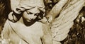 Vintage image of a sad angel on a cemetery against the backgroun Royalty Free Stock Photo