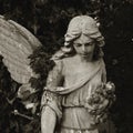 Vintage image of a sad angel on a cemetery Royalty Free Stock Photo