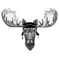 Vintage images of elk or moose for t-shirt design for motorcycle, bike, motorbike, scooter club, aero club