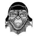 Vintage images of gorilla monkey for t-shirt design for motorcycle, bike, motorbike, scooter club, aero club