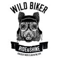 Vintage images of Hog for t-shirt design for motorcycle, bike, motorbike, scooter club