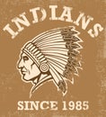 Vintage indian mascot