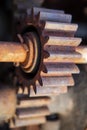 Vintage industrial gears wheel in sepia