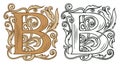 Vintage initial letter B with baroque decoration