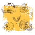 Vintage Ink hand drawn collection of citrus fruits sketch - lemon, tangerine, orange
