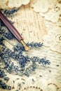 Vintage ink pen, dried lavender flowers and old love letters Royalty Free Stock Photo