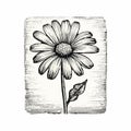 Vintage-inspired Black And White Daisy Drawing With Dark Humor Graphic Prints