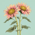 Vintage-inspired Illustration Of Two Pink Sunflowers In Vase Royalty Free Stock Photo