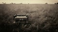 Vintage Instant Film Photo: Typewriter In A Grassy Field