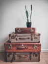 Vintage interior with old reused suitcases as smart storage space and a cactus