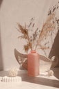 Geometric shapes, plate, vase with Cortaderia selloana flowers on a beige.