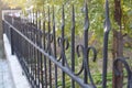Vintage iron fences Royalty Free Stock Photo