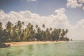 Vintage island style palm trees, Pigeon Point TOBAGO Royalty Free Stock Photo