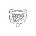 Vintage Isolated Cross Section of the Human Small and Large Intestine or Colon for Medical Internal Organ Education Royalty Free Stock Photo