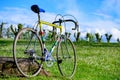 Vintage italian road bike gianni motta with rainbow paint