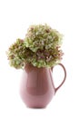 Vintage jug filled with hydrangea flowers