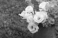 Vintage jug of white prairie gentians on grass