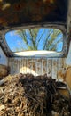 Vintage Junk Rusty Car Desert Debris collected by Pack Rats Rodents for Dwelling Nature photo