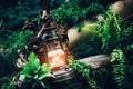 Vintage kerosene oil lantern lamp burning with soft warm light among green plants in wood and forest Royalty Free Stock Photo