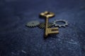 Vintage key and gears Royalty Free Stock Photo