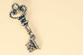 Vintage key isolated on white background. safety concept Royalty Free Stock Photo