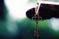 Vintage key with wooden home keyring hanging on old wood plank with blur green garden background Royalty Free Stock Photo