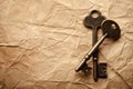 Vintage keys Royalty Free Stock Photo