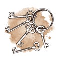 Vintage keys over watercolor background. Vector illustration