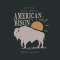 Vintage label with american bison