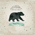 Vintage label bear. Design for T-Shirt