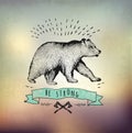 Vintage label bear. Design for T-Shirt.