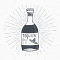 Vintage label, Hand drawn bottle of tequila mexican traditional alcohol drink sketch, grunge textured retro badge, emblem design, Royalty Free Stock Photo