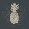 Vintage label, Hand drawn pineapple, grunge textured retro badge template, typography design vector illustration Royalty Free Stock Photo