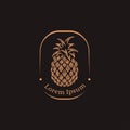 Vintage label pineapple logo icon vector template Royalty Free Stock Photo