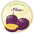 Vintage label with plum isolated on white background in cartoon style. Vector illustration. Fruit and Vegetables