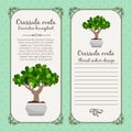 Vintage label with crassula ovata plant