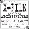 Vintage label typeface named X-File.Font. Typeface. Script Royalty Free Stock Photo
