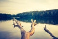 Vintage lake sunset with old dead tree trunk Royalty Free Stock Photo