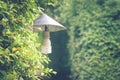 Vintage lamp hanging on green trees at outdoor garden. Royalty Free Stock Photo