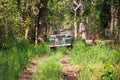Vintage Land Rover Series II in Chitwan jungle, Nepal
