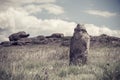 Vintage Landscape ancient polovtsian sculpture Royalty Free Stock Photo